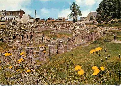 Carte Postale - 59 - Bavay - Vestiges Gallo-Romains - Site Archéologique - Carte Neuve - CPM - Voir Scans Recto-Verso -