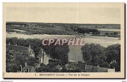 Beaugency - Vue sur la Sologne - CPA