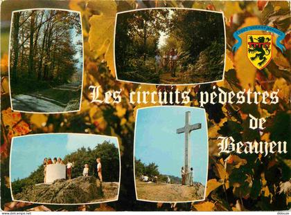 69 - Beaujeu - Les circuits pédestres de Beaujeu - Multivues - La croix de Rochefort et sa table d'orientation - CPM - V
