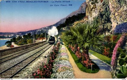 Beaulieu sur Mer CPA le petite Afrique Un coin fleuri (train)