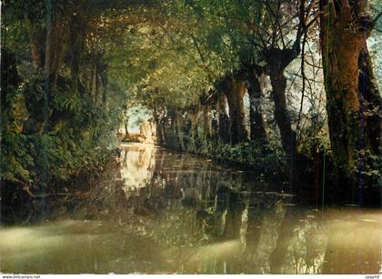 CPM Venise verte une conche dans le marais poitevin