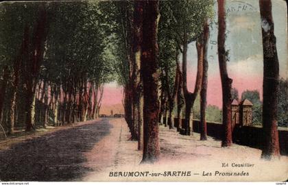 Beaumont sur Sarthe CPA Les promenades