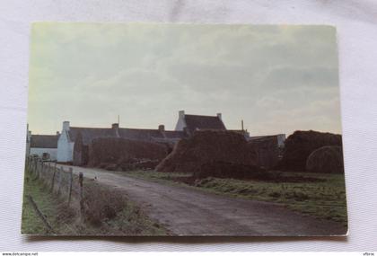 Cpm 1976, Belle ile en mer, Logonnet, Morbihan 56