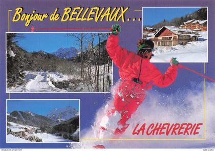 74 BELLEVAUX LA CHEVRERIE