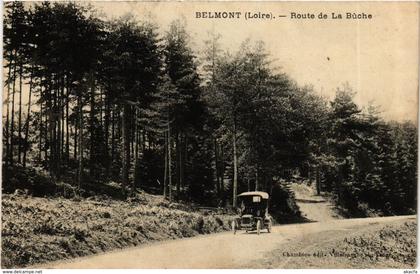 CPA Belmont - Route de la Buche FRANCE (915504)