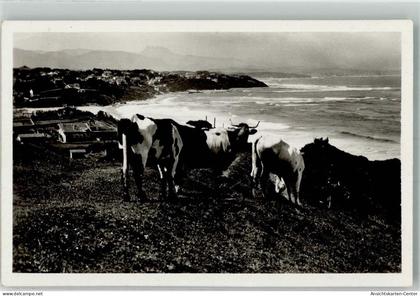 39760360 - Biarritz
