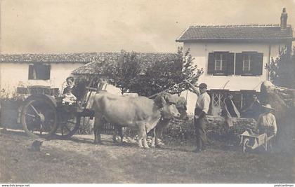 France - BIDART (64) Ferme Oyamburia - CARTE PHOTO