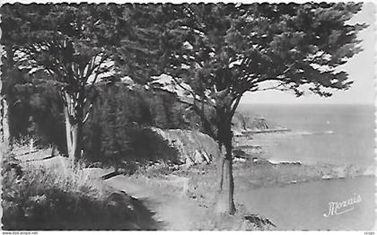 CPSM Binic La Pointe de Rognouse