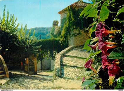 CPM La Cote d'Azur miracle de la nature Biot Alpes Maritimes