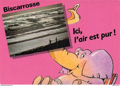 40 BISCARROSSE BISCARROSSE PLAGE