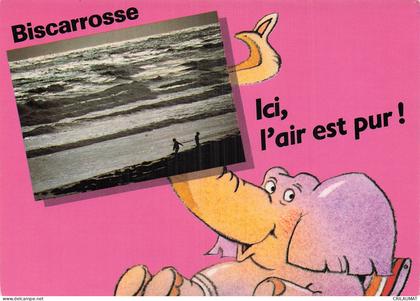 40 BISCARROSSE BISCARROSSE PLAGE