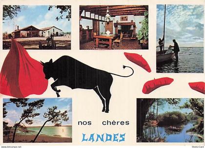 40 BISCARROSSE LAC DE BISCARROSSE