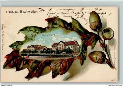 13412858 - Bischwiller Bischweiler