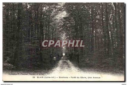 Blain CPA Environs Foret du Gavre Une avenue