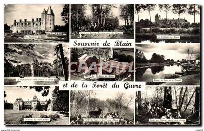 CPM Souvenir de Blain et d ela foret du Gavre