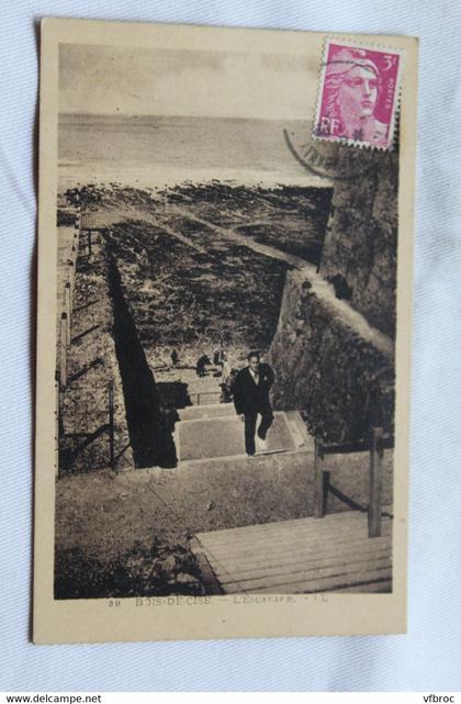 Bois de Cise, l'escalier, Somme 80