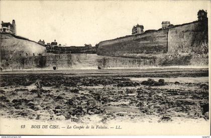 CPA Bois De Cise La Coupee de La Falaise