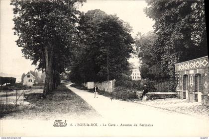 CPA Bois le Roi La Cave Avenue de Sermaize