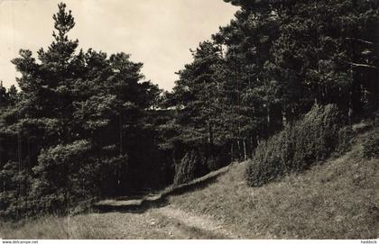 BOISSY LA RIVIERE : UN CHEMIN