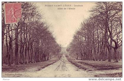 BOISSY-SAINT-LEGER Grosbois Allée de l'Etoile