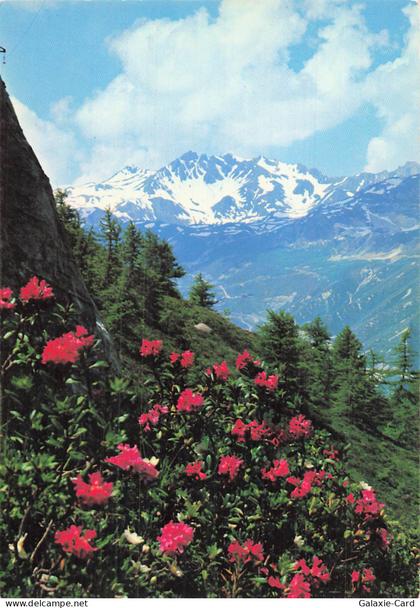 73 BONNEVAL SUR ARC BONNEVAL