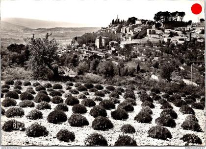 (07/06/26) 84-CPSM BONNIEUX