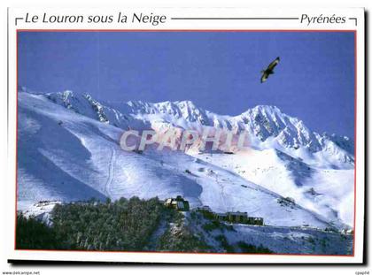 CPM Hiver en Vallee du Louron La Station de Ski de Val Louron Vautour Fauve Rapace