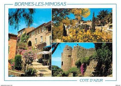 83 - Bormes les Mimosas - Carte Neuve - CPM - Voir Scans Recto-Verso