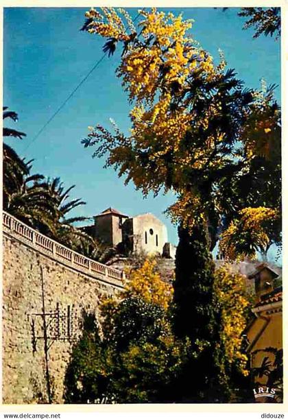 83 - Bormes les Mimosas - Carte Neuve - CPM - Voir Scans Recto-Verso