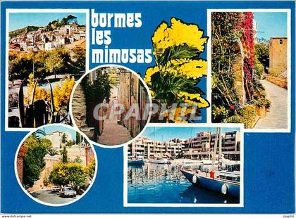 CPM Bormes les Mimosas Var