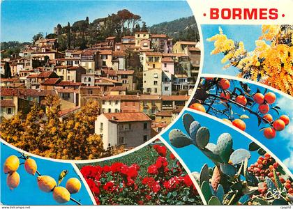 CPM Bormes les Mimosas Var Vue generale