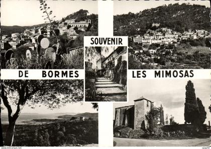CPM Souvenir De Bormes Les Mimosas