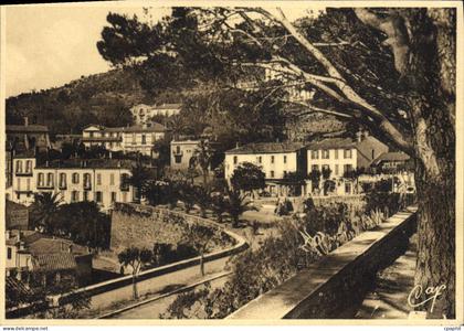CPSM Bormes Les Mimosas Les Hotels