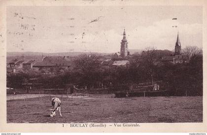 Boulay (57-Moselle) vue générale