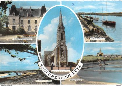 ¤¤   -   BOURGNEUF-en-RETZ    -  Multivues      -   ¤¤