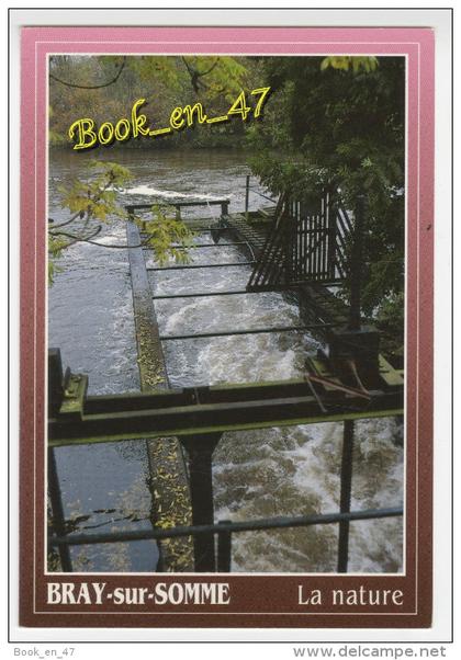 {55445} 80 Somme Bray sur Somme , Une anguillère à Fargny