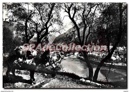 CPA Breil sur Roya Vue d'ensemble