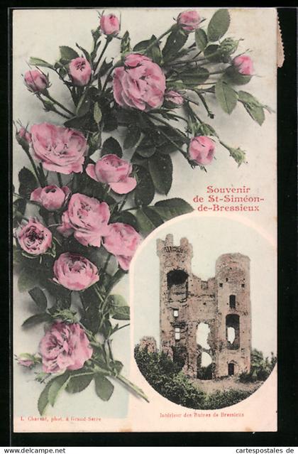 CPA St-Siméon-de-Bressieux, Interieur des Ruines de Bressieux