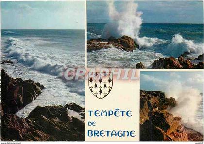 CPM Tempete de Bretagne