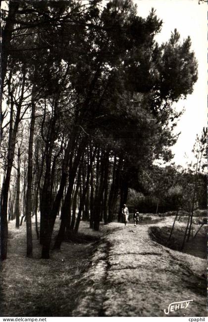 Bretignolles sur Mer - La Foret des Dunes - CPA