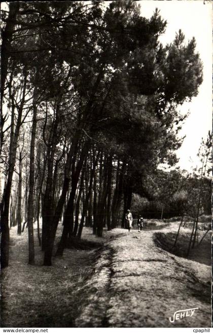 Bretignolles sur Mer - La Foret des Dunes - CPA