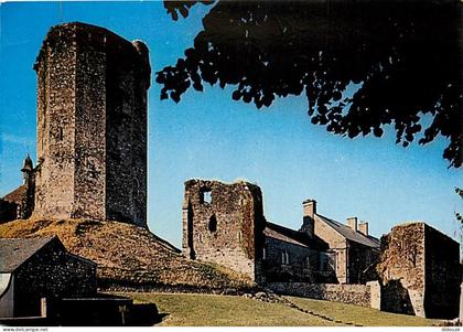 Carte Postale - 50 - Bricquebec - Le Château - CPM - Voir Scans Recto-Verso - Poscard - Carta Postal -  Postkarte