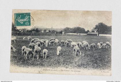 CPA Brunoy. Le berger et ses moutons au pâturage _ Voyagée