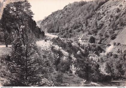 88 BUSSANG COL DE BUSSANG