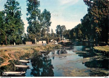 CPM Marais Poitevin La Venise Verte Paysage pittoresque de la Venise Verte