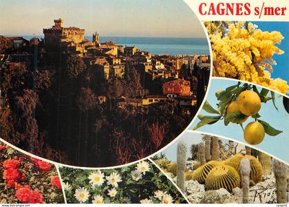 CPM Cagnes sur mer
