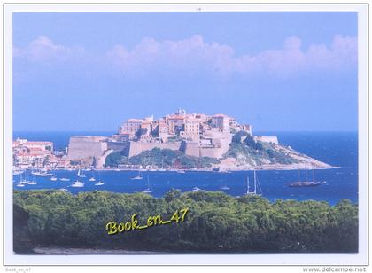 {64926} 20 2B Haute Corse Calvi , Souvenir de Corse