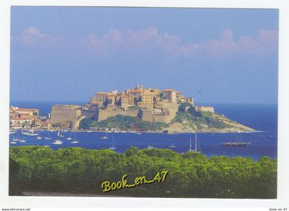 {91694} 20 2B Haute Corse Calvi ; vue générale