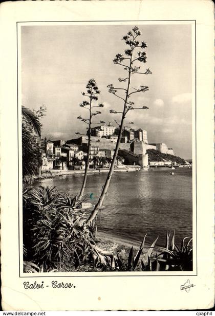 CPSM Calvi Ile De Beaute