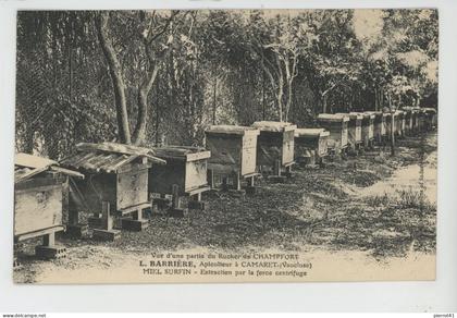 CAMARET SUR AIGUES - Vue d'une partie du Rucher de CHAMPFORT - L. BARRIERE Apiculteur - Carte écrite par L. BARRIERE